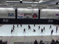 Beatrix Winterguard - Contest Aalsmeer - 2015