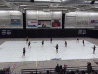 Colorguard Euphonia Junior - Contest Drachten - 2015