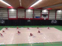 Zanzare Winterguard - Contest Aalsmeer - 2015