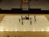Colorguard Euphonia Junior - Prelims - WGI Amsterdam - 2015