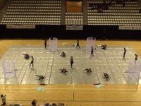 Serendipity - Prelims - WGI Amsterdam - 2015