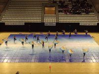 Sensation Performance Ensemble - Finals - WGI Amsterdam - 2015