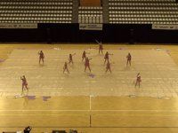 Zanzare Winterguard - Finals - WGI Amsterdam - 2015