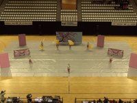 The Pride Cadets - Finals - WGI Amsterdam - 2015