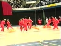 Avalance - Finals - Championships Den Bosch - 2000