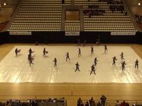 Beatrix Winterguard - Finals - WGI Amsterdam Regional - 2016