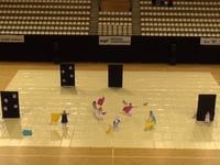 Trinity mini's - WGI Amsterdam Regional 2016