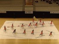 Anima Color Guard - Finals - WGI Amsterdam Regional - 2016