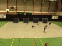 CMH Menaldum A - Contest Franeker 2016