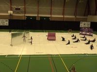 Jong Beatrix - Contest Franeker 2016