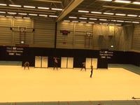 Colorguard Euphonia A - Contest Waalwijk 2017