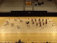 Zanzare Winterguard - Finals - WGI European Regional - 2017