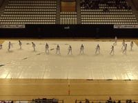 Beatrix - Prelims - WGI European Regional - 2017