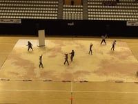 Anima Color Guard - Prelims - WGI European Regional - 2017
