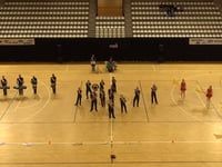 Showband 75 - Finals - WGI European Regional - 2017