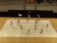 Wilhelmus Winterguard - Prelims - WGI European Regional - 2017