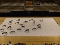 Jubal Winterguard - Prelims - WGI European Regional - 2017