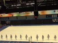 Beatrix Winterguard - Prelims - CGN Championships - 2017