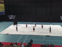 Fanatik Revelation - Finals - CGN Championships - 2017