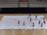 Triuggio Marching Band Colorguard - Prelims - CGN Almere - 2020