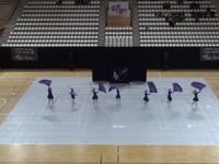 Colorguard Euphonia Junior - Finals - CGN Almere - 2020
