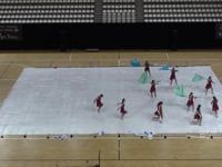 Triuggio Marching Band Colorguard - Finals - CGN Almere - 2020