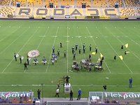 Wolper Lowen - DCN Contest Roosendaal - 2014