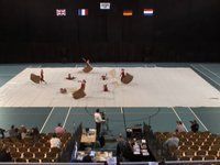 N-Motion - Finals - CGN Finals - 2011