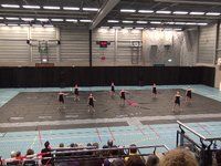 ACF Silky - Contest Waalwijk - 2014