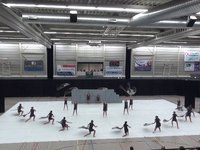 The Pride Junior - Contest Aalsmeer - 2014