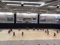Beatrix Winterguard - Contest Aalsmeer - 2014