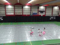 Trinity mini's - Contest Aalsmeer - 2014