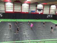ACF Silky - Contest Aalsmeer - 2014