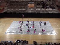 The Pride Pre Cadets - Prelims - WGI The Netherlands Regional - 2014