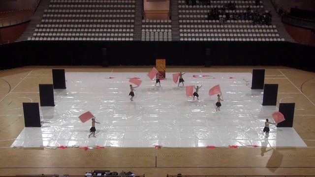 2Xtreme/Intension Cadets - WGI The Netherlands Regional (2014)