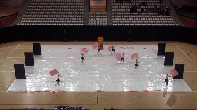 2Xtreme/Intension Cadets - WGI The Netherlands Regional 2014