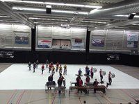 Showband Sternse Slotlanders - Contest Drachten 2 - 2014