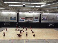 Beatrix Winterguard - Prelims - CGN Championships - 2014